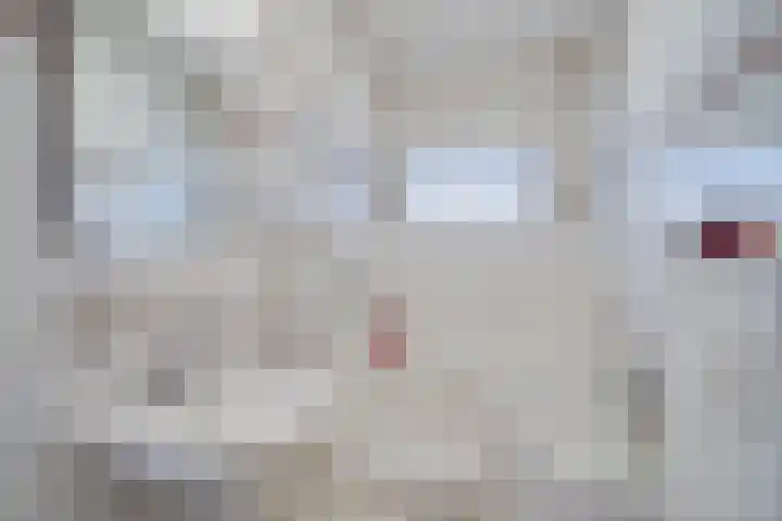 Kromveld 2 Deurne thumbnail 17