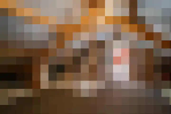 Kromveld 2 Deurne thumbnail 25