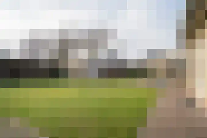 Kromveld 2 Deurne thumbnail 29
