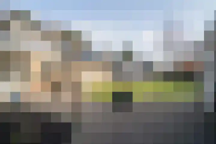 Kromveld 2 Deurne thumbnail 36