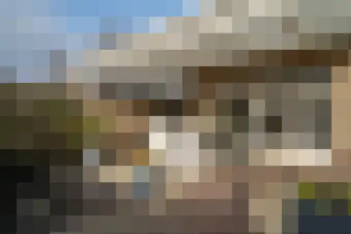 Kromveld 2 Deurne thumbnail 37