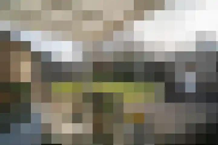 Kromveld 2 Deurne thumbnail 38