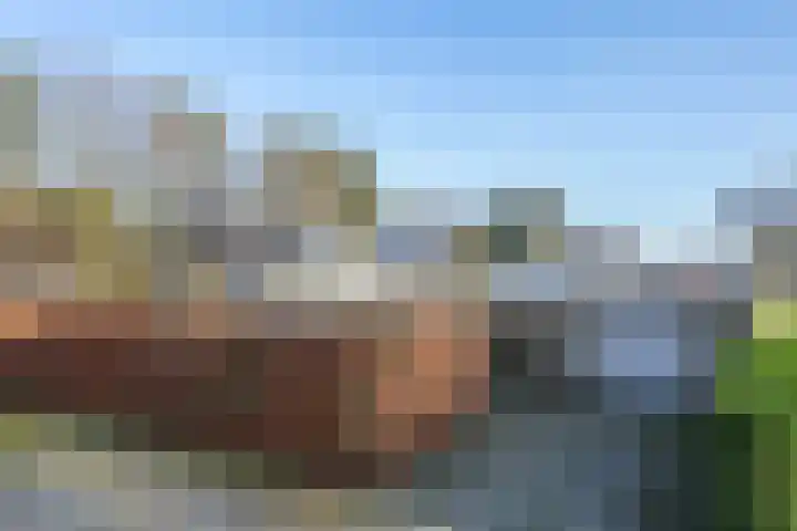 Kromveld 2 Deurne thumbnail 4