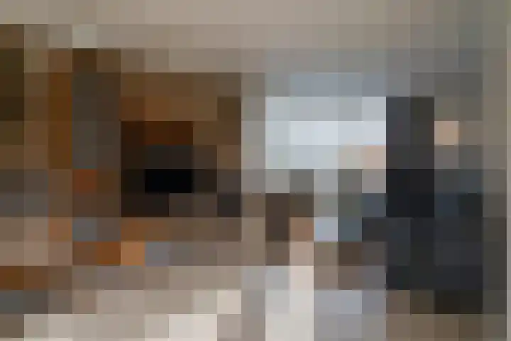 Kromveld 2 Deurne thumbnail 6