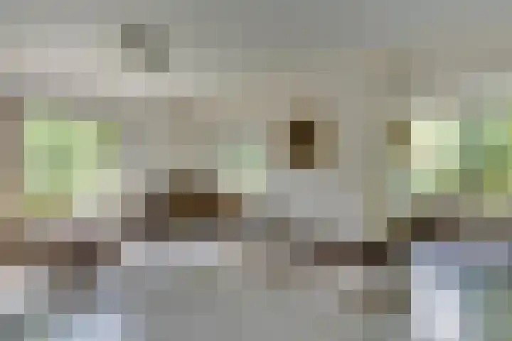 Kromveld 5 Deurne thumbnail 10
