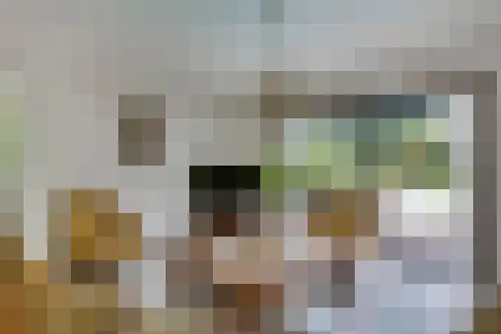 Kromveld 5 Deurne thumbnail 11
