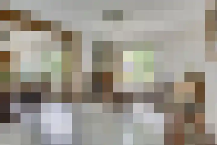 Kromveld 5 Deurne thumbnail 13