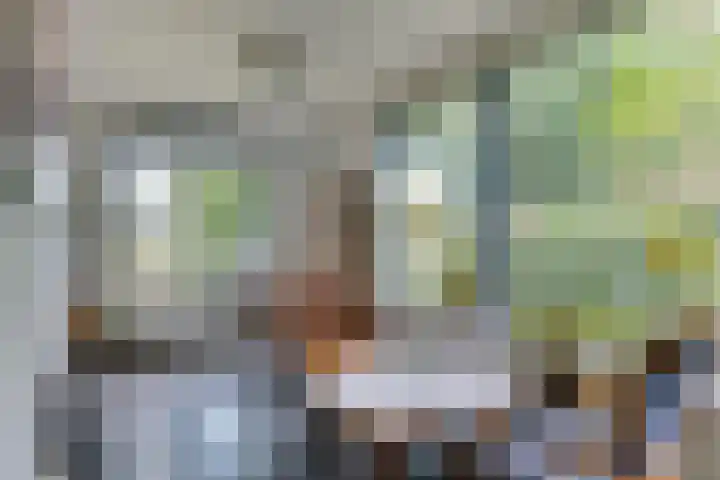 Kromveld 5 Deurne thumbnail 14