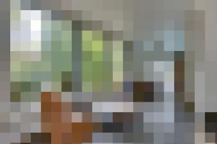 Kromveld 5 Deurne thumbnail 16
