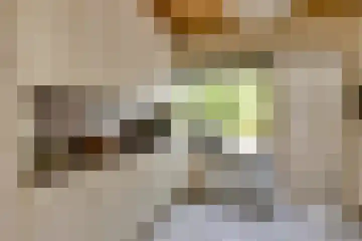 Kromveld 5 Deurne thumbnail 18