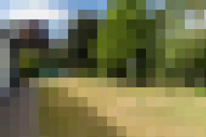 Kromveld 5 Deurne thumbnail 32