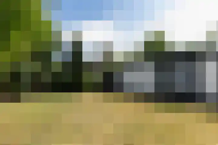 Kromveld 5 Deurne thumbnail 35