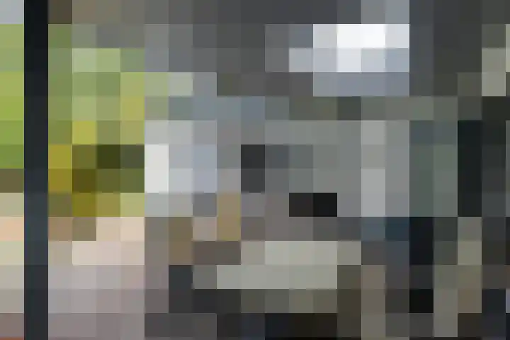Kromveld 5 Deurne thumbnail 40