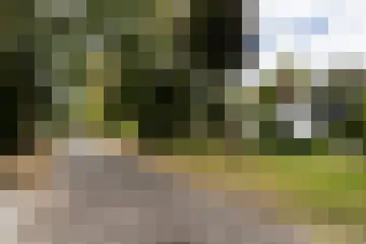 Kromveld 5 Deurne thumbnail 5