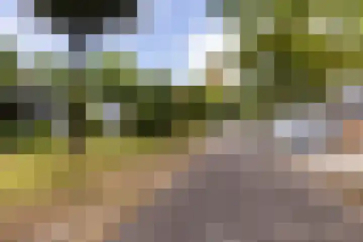 Kromveld 5 Deurne thumbnail 6