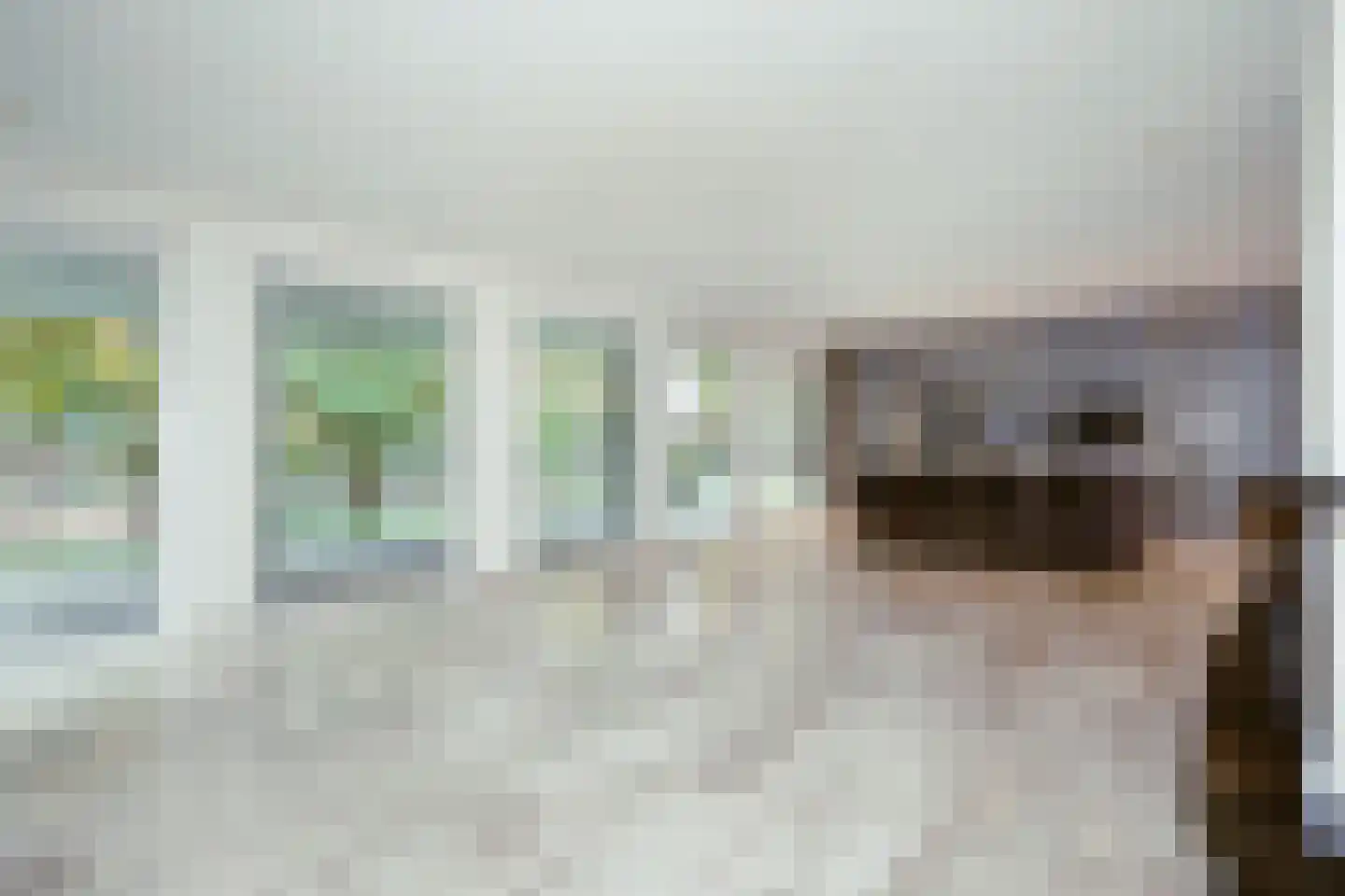 Kromvensedijk 4 Oost West en Middelbeers thumbnail 12