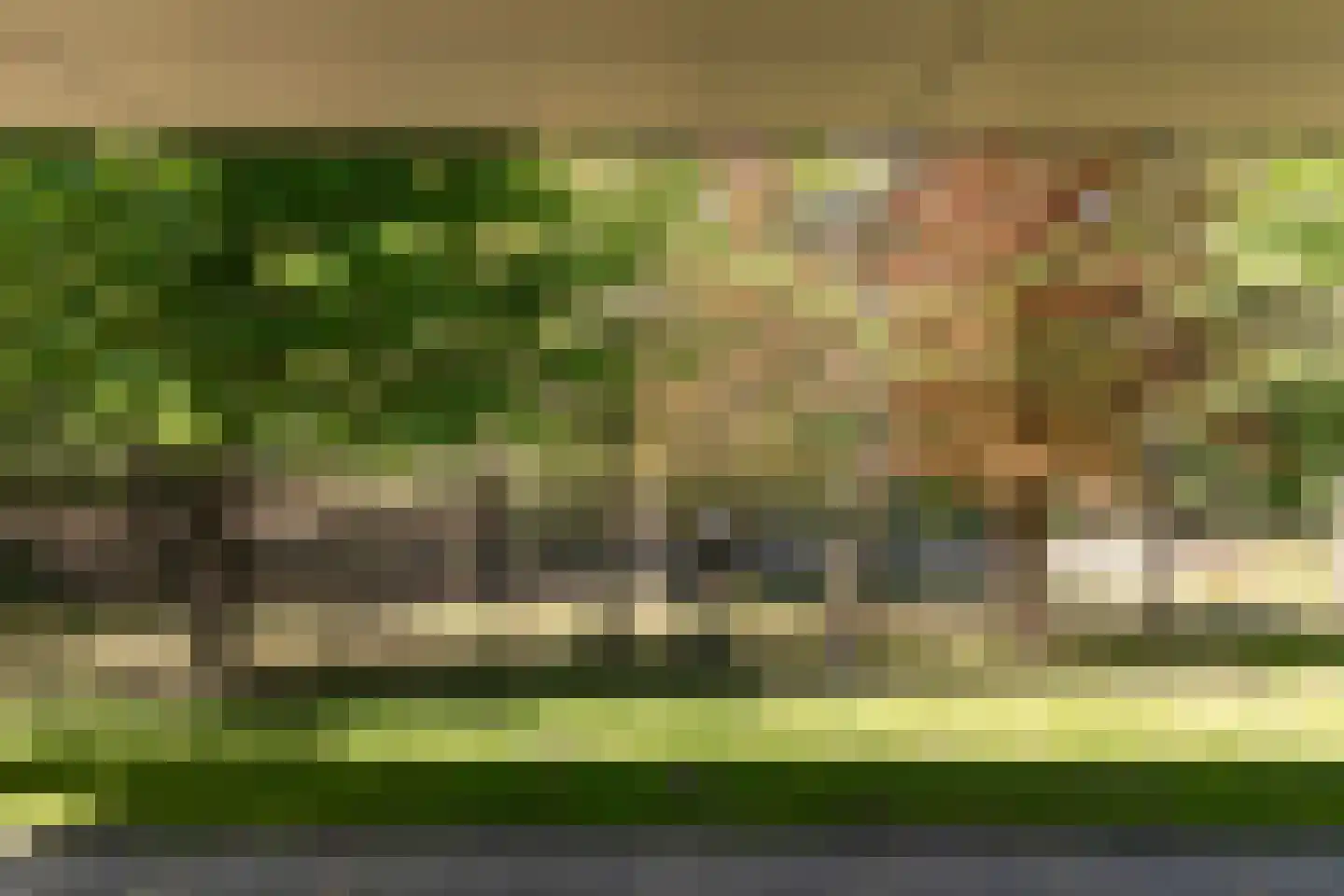 Kromvensedijk 4 Oost West en Middelbeers thumbnail 13