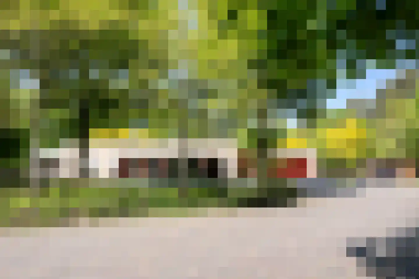 Kromvensedijk 4 Oost West en Middelbeers thumbnail 27