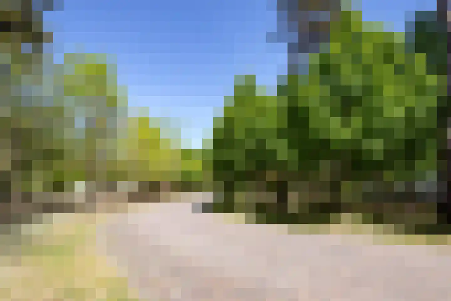 Kromvensedijk 4 Oost West en Middelbeers thumbnail 30