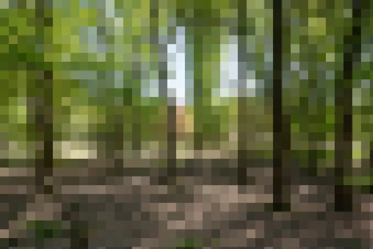 Kromvensedijk 4 Oost West en Middelbeers thumbnail 32