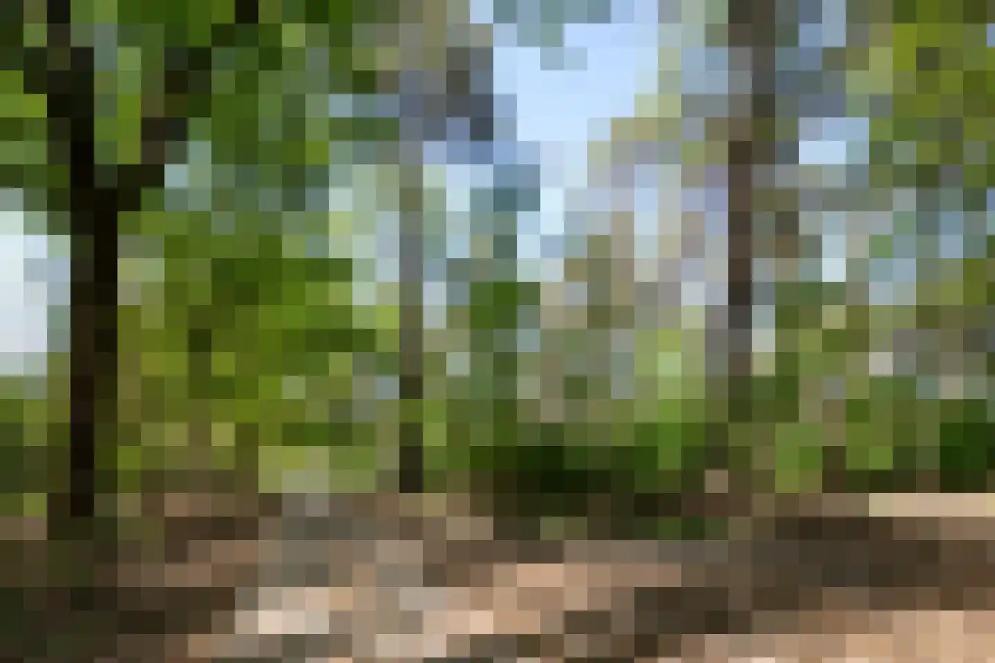Kromvensedijk 4 Oost West en Middelbeers thumbnail 34
