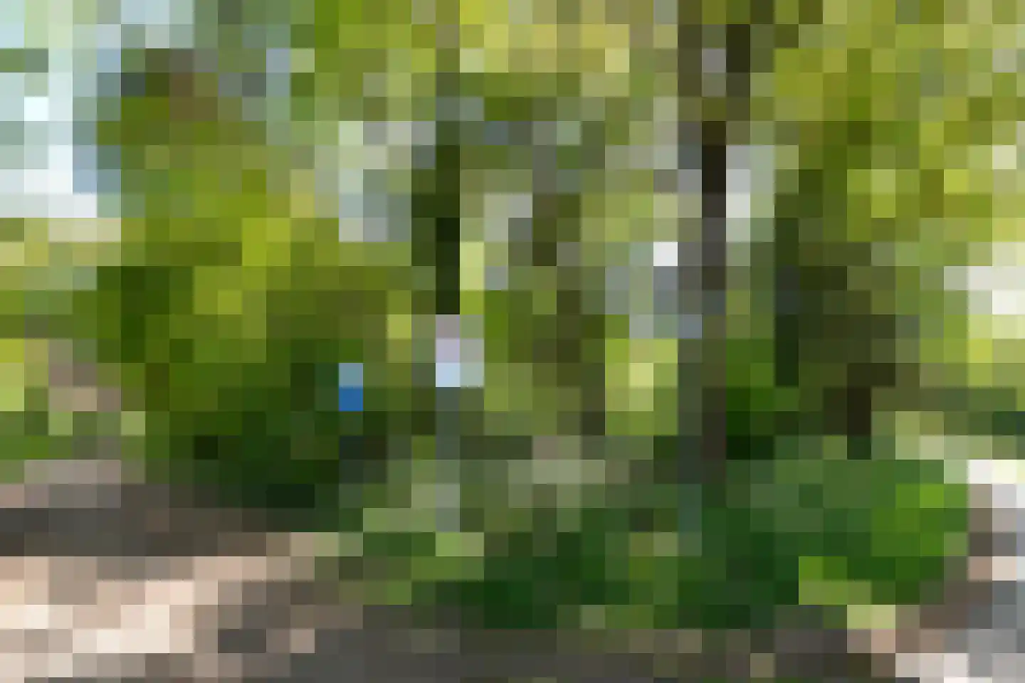 Kromvensedijk 4 Oost West en Middelbeers thumbnail 35