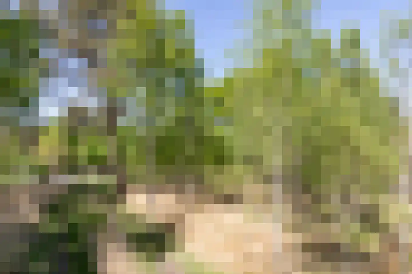 Kromvensedijk 4 Oost West en Middelbeers thumbnail 38