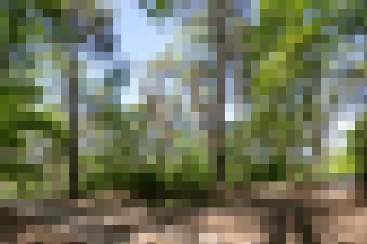 Kromvensedijk 4 Oost West en Middelbeers thumbnail 39