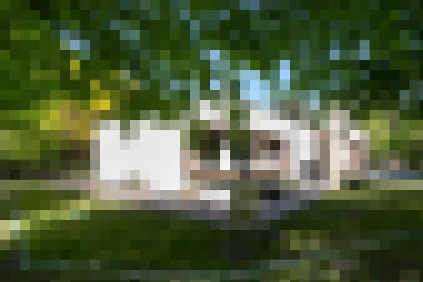Kromvensedijk 4 Oost West en Middelbeers thumbnail 5