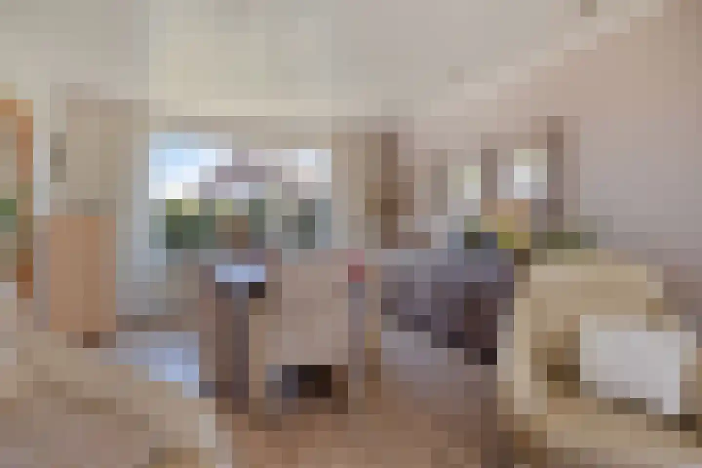 Kromwaarde 1 Sprundel thumbnail 12