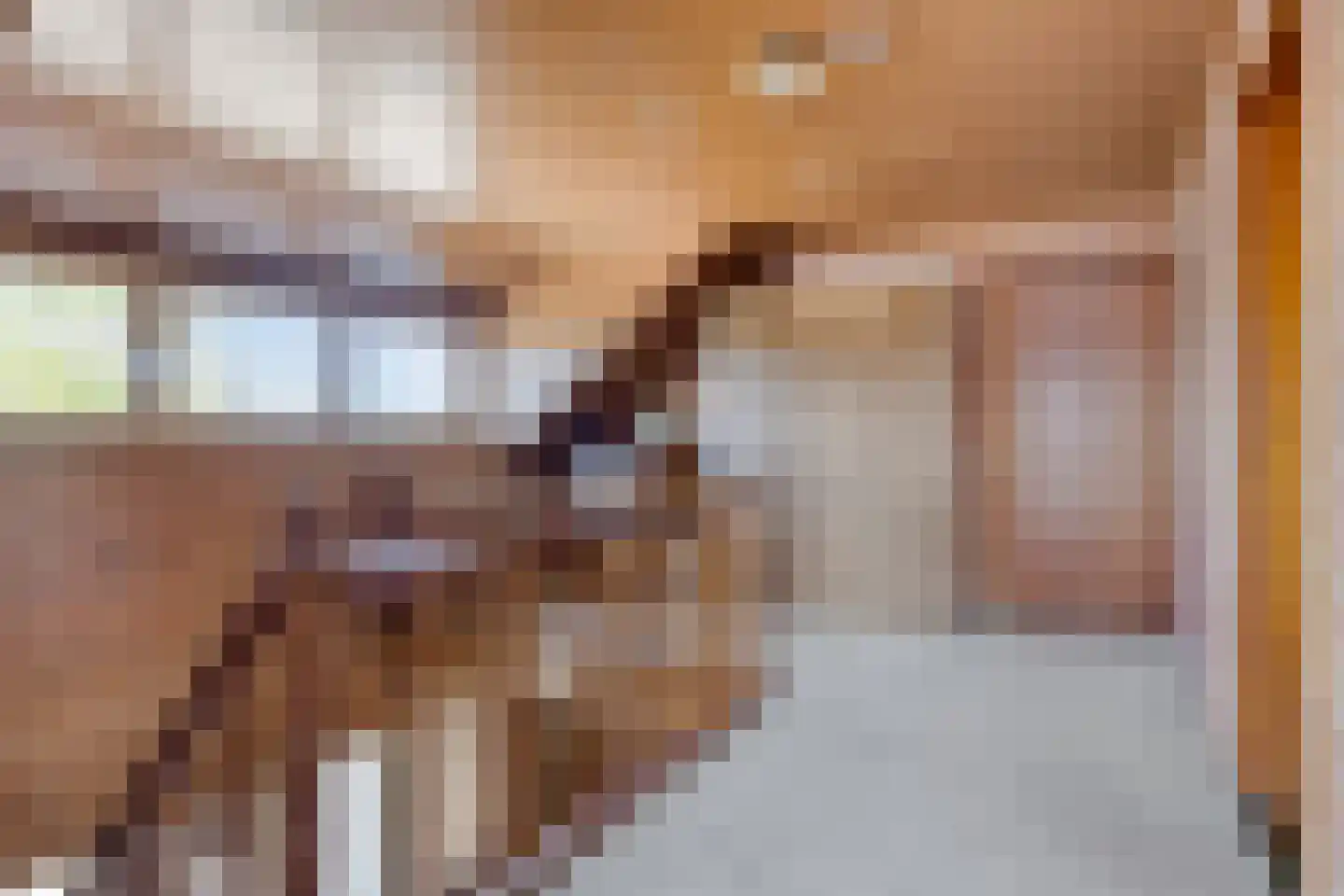 Kromwaarde 1 Sprundel thumbnail 22