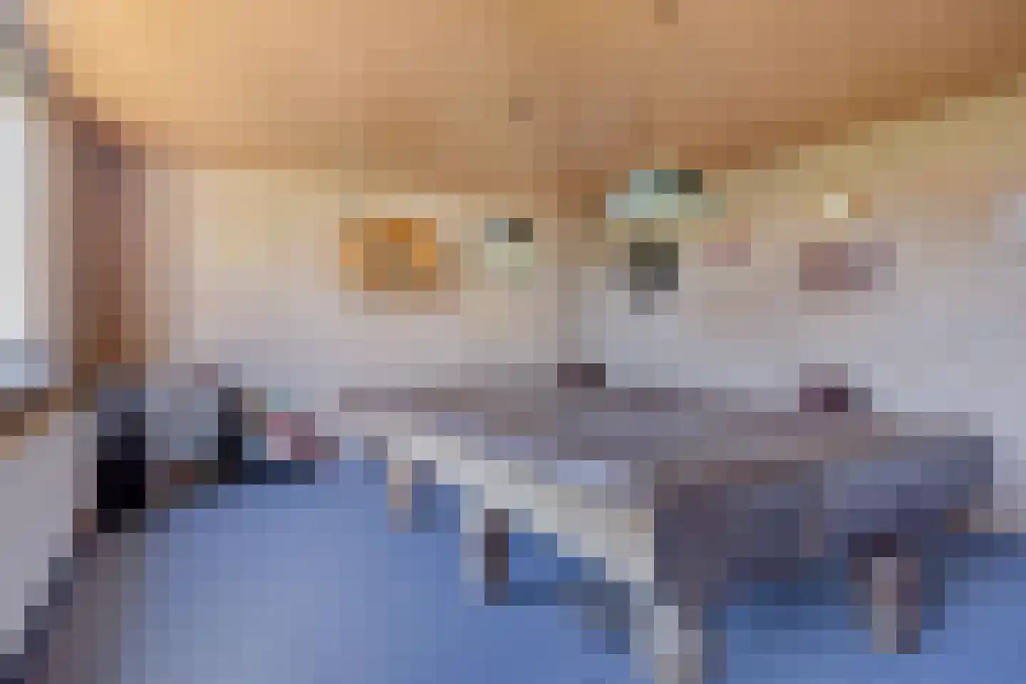Kromwaarde 1 Sprundel thumbnail 29