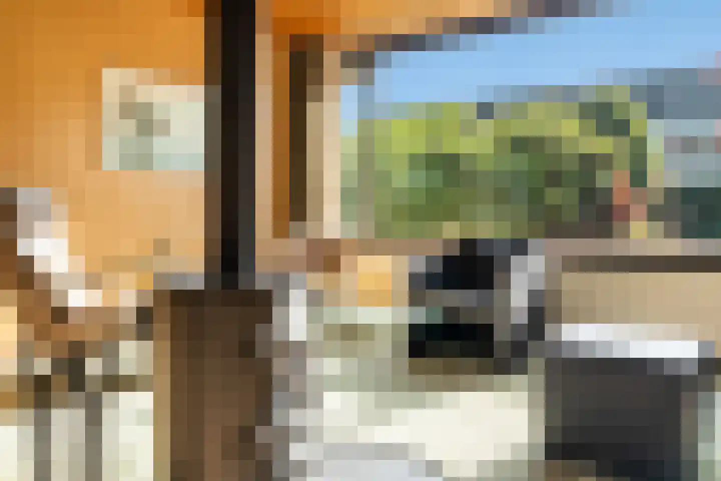 Kromwater 40 Zoetermeer thumbnail 12