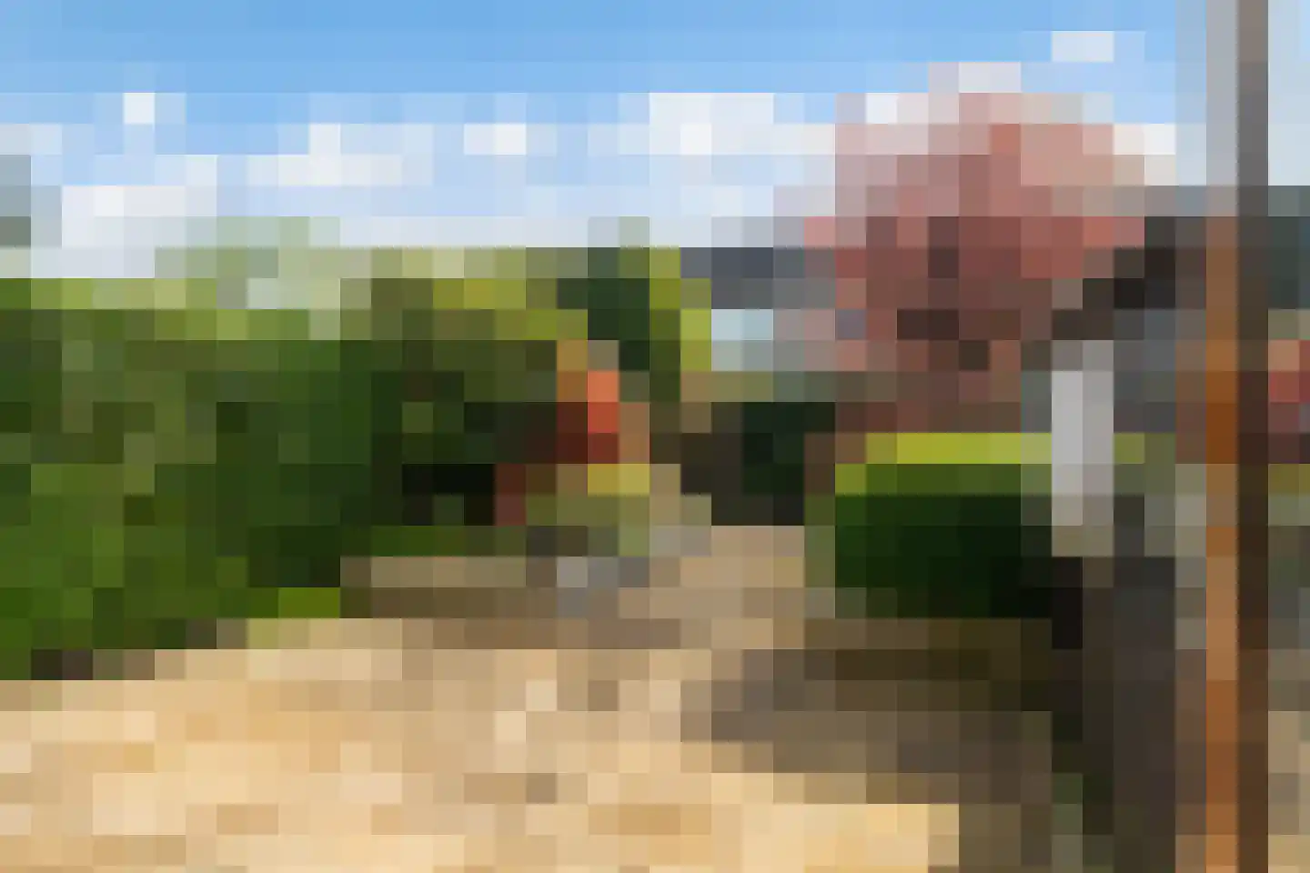 Kromwater 40 Zoetermeer thumbnail 5
