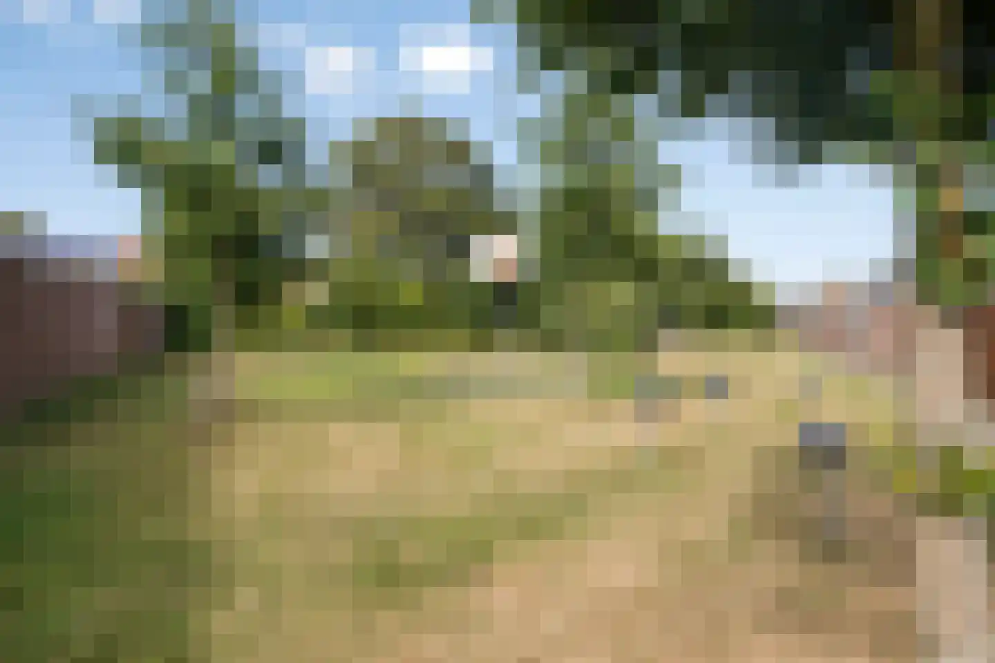 Kromwegesingel 32 Oost-Souburg thumbnail 24