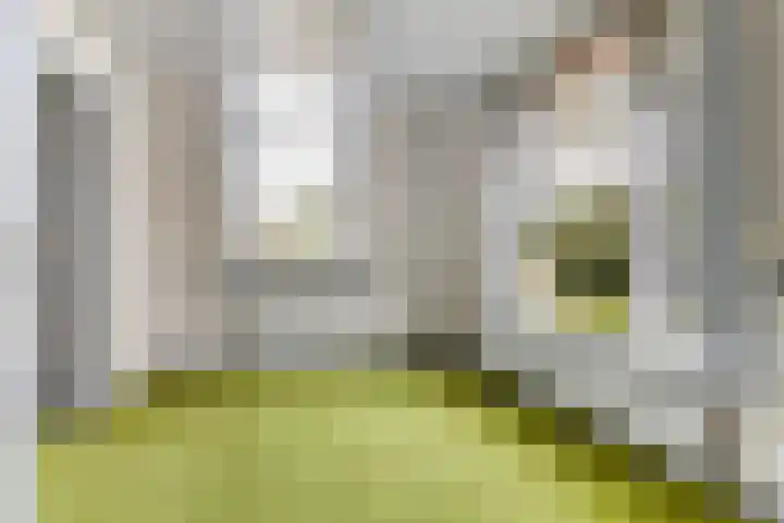 Kromwijkerdijk 11 Woerden thumbnail 22