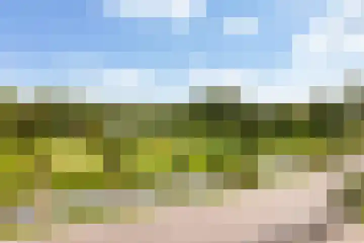 Kromwijkerdijk 11 Woerden thumbnail 26