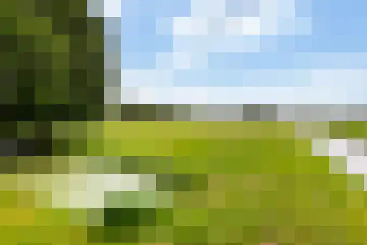 Kromwijkerdijk 11 Woerden thumbnail 44