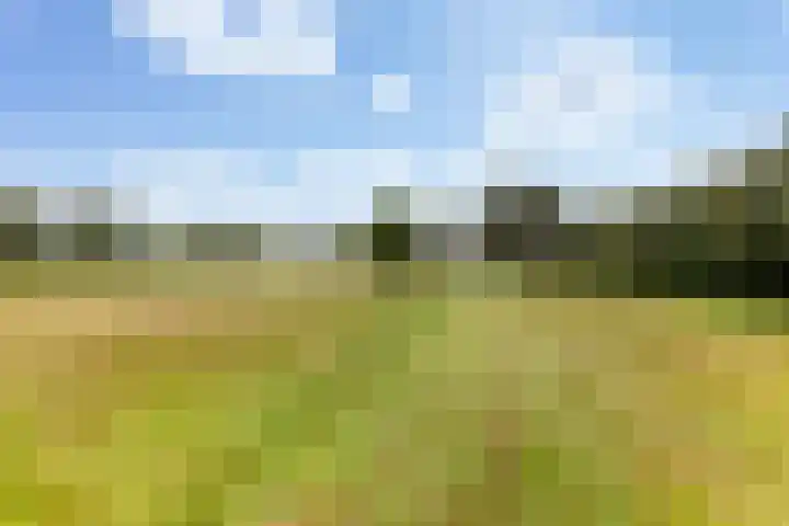 Kromwijkerdijk 11 Woerden thumbnail 45
