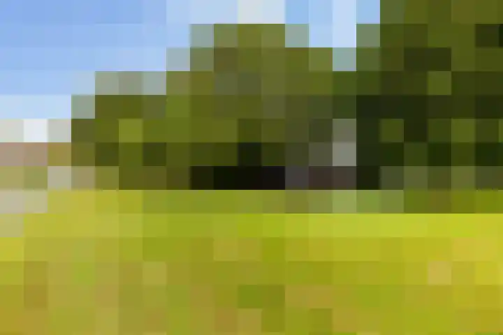 Kromwijkerdijk 11 Woerden thumbnail 46