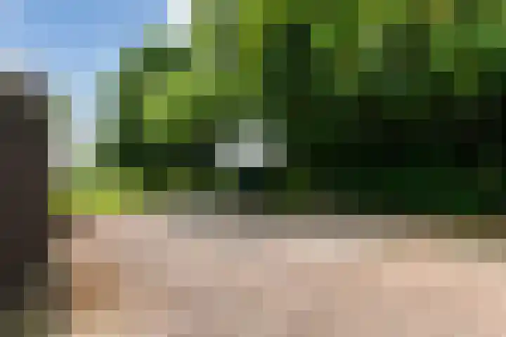 Kromwijkerdijk 11 Woerden thumbnail 47