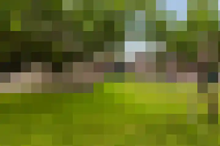 Kromwijkerdijk 11 Woerden thumbnail 49