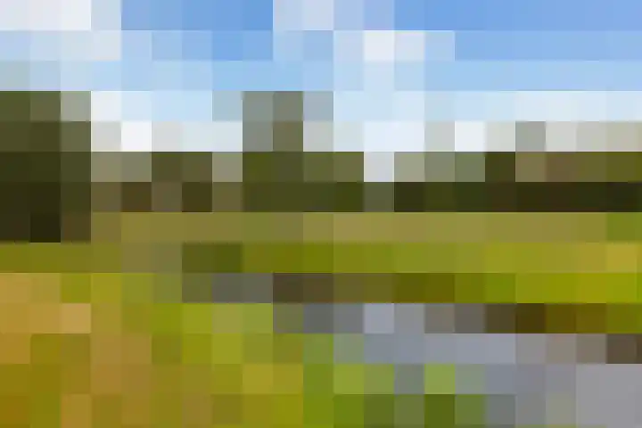Kromwijkerdijk 11 Woerden thumbnail 50