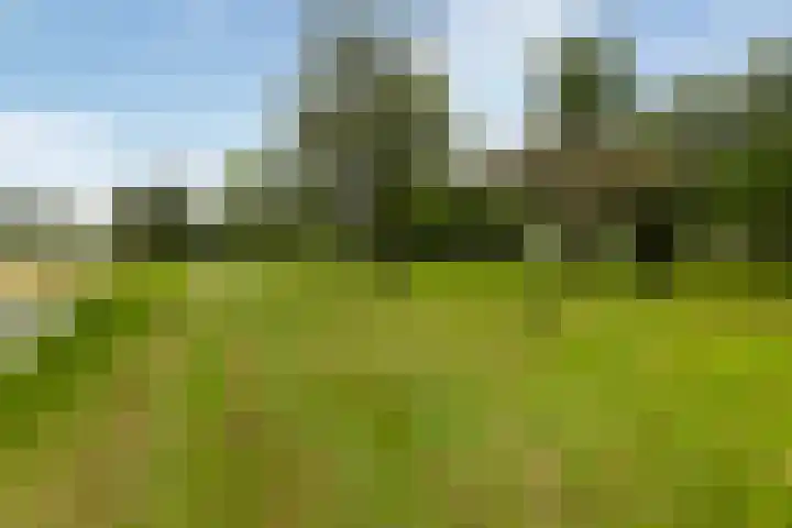 Kromwijkerdijk 11 Woerden thumbnail 51