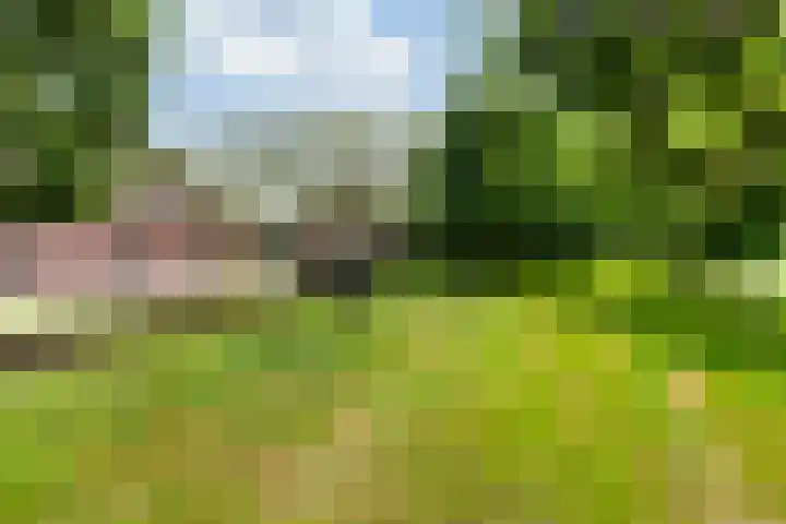 Kromwijkerdijk 11 Woerden thumbnail 53