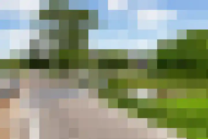 Kromwijkerdijk 11 Woerden thumbnail 57