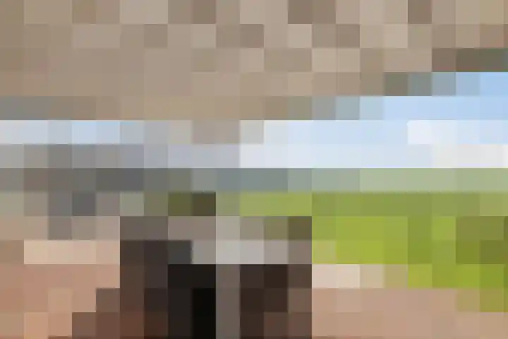 Kromwijkerdijk 20 Woerden thumbnail 39
