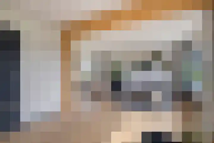 Kromwijkerdijk 20 Woerden thumbnail 6