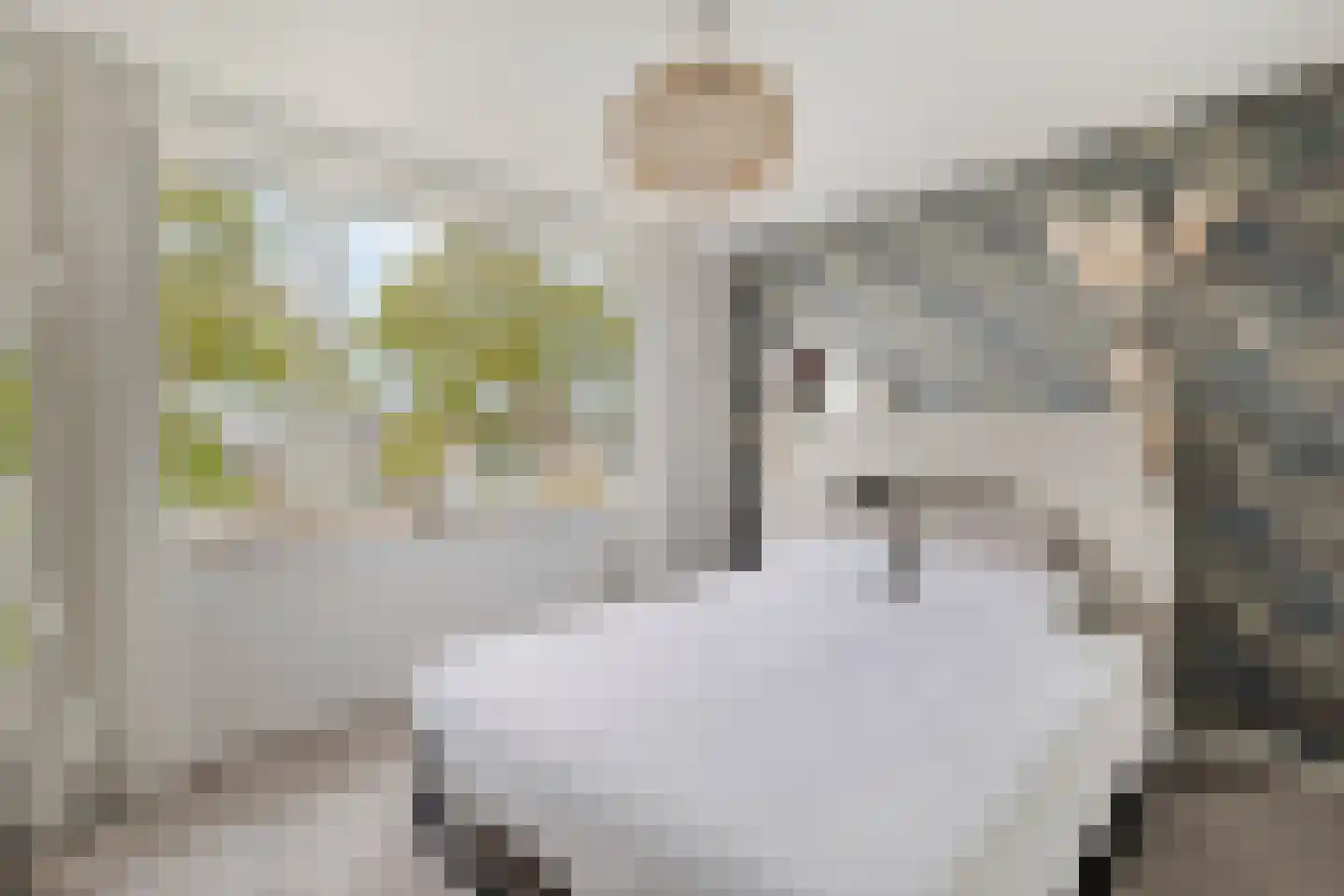 Kromwijkerkade 33 Woerden thumbnail 25