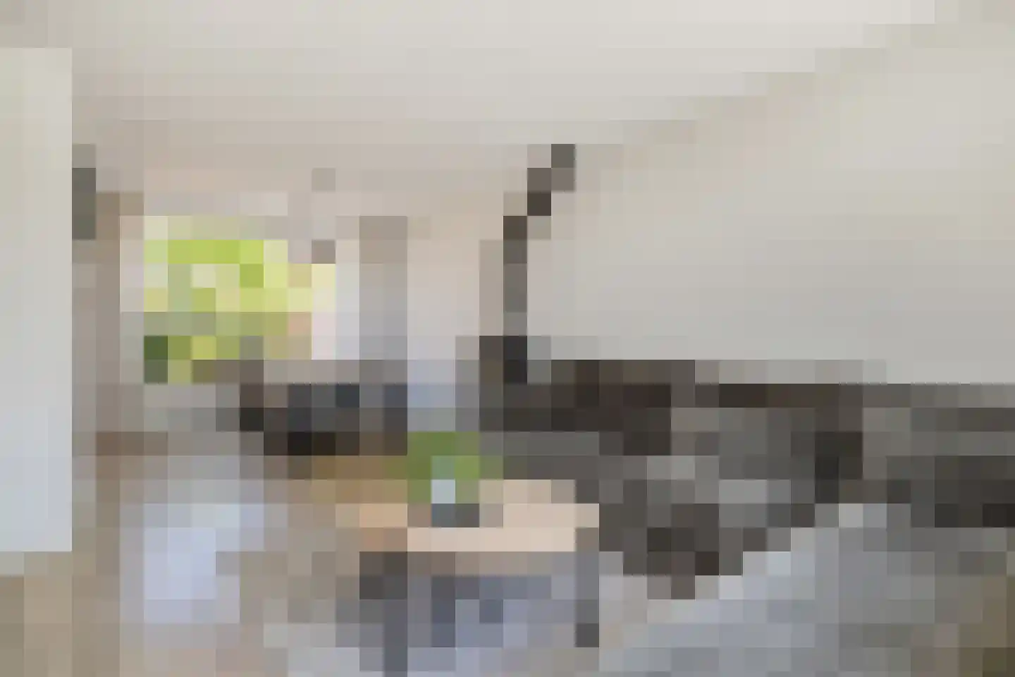 Kromwijkerkade 35 Woerden thumbnail 10